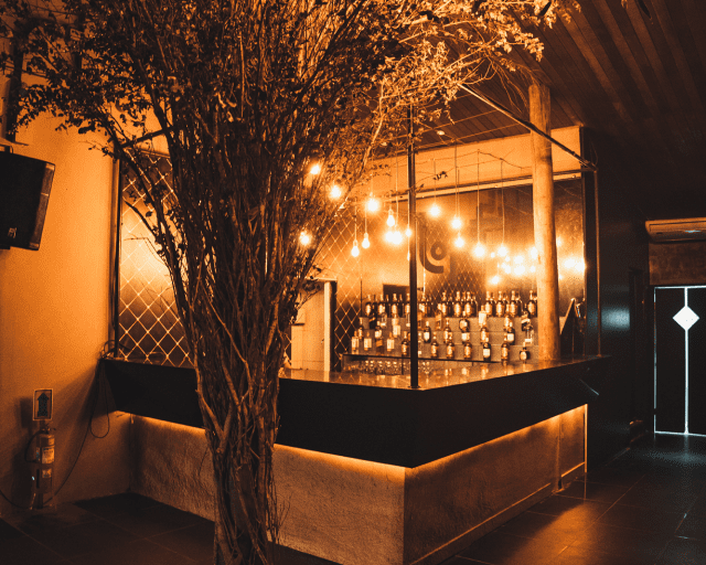 Description of Photo