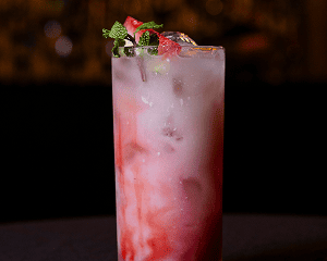 Description of Photo